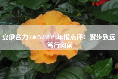 安徽合力(600761)2024年报点评：骥步致远 笃行向前