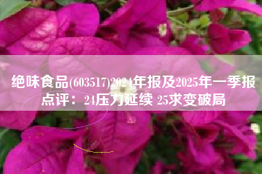 绝味食品(603517)2024年报及2025年一季报点评：24压力延续 25求变破局
