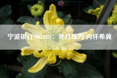 宁波银行(002142)：外扛压力 内怀希冀
