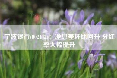宁波银行(002142)：净息差环比回升 分红率大幅提升