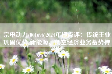 宗申动力(001696)2024年报点评：传统主业巩固优势 新能源、低空经济业务蓄势待发