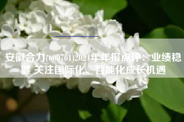 安徽合力(600761)2024年年报点评：业绩稳健 关注国际化、智能化成长机遇