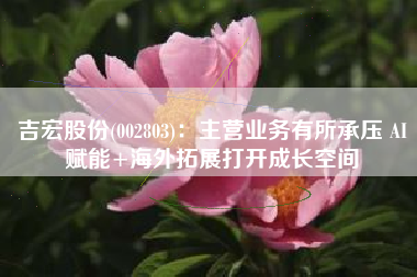 吉宏股份(002803)：主营业务有所承压 AI赋能+海外拓展打开成长空间