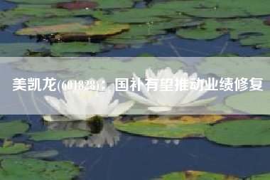 美凯龙(601828)：国补有望推动业绩修复