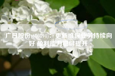 广日股份(600894)：更新维保业务持续向好 盈利能力稳健提升