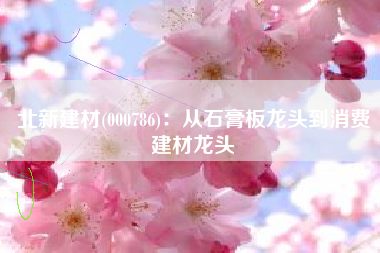 北新建材(000786)：从石膏板龙头到消费建材龙头