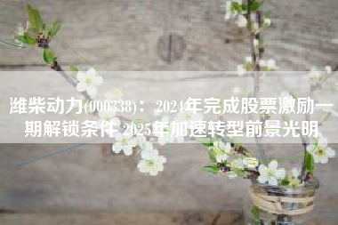 潍柴动力(000338)：2024年完成股票激励一期解锁条件 2025年加速转型前景光明