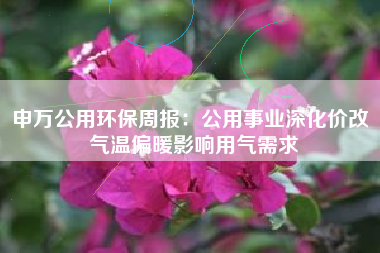 申万公用环保周报：公用事业深化价改 气温偏暖影响用气需求