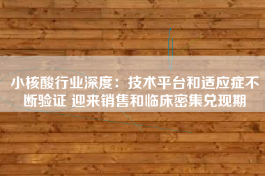 小核酸行业深度：技术平台和适应症不断验证 迎来销售和临床密集兑现期