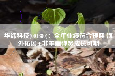 华纬科技(001380)：全年业绩符合预期 海外拓展+非车端弹簧成长可期
