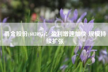 甬金股份(603995)：盈利增速加快 规模持续扩张