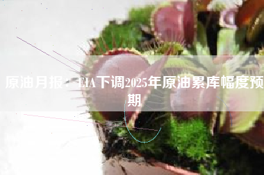 原油月报：EIA下调2025年原油累库幅度预期