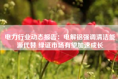 电力行业动态报告：电解铝强调清洁能源代替 绿证市场有望加速成长