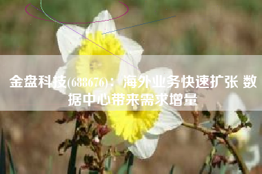 金盘科技(688676)：海外业务快速扩张 数据中心带来需求增量