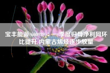 宝丰能源(600989)：一季度归母净利同环比提升 内蒙古烯烃逐步放量