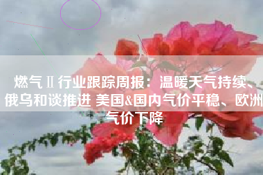 燃气Ⅱ行业跟踪周报：温暖天气持续、俄乌和谈推进 美国&国内气价平稳、欧洲气价下降