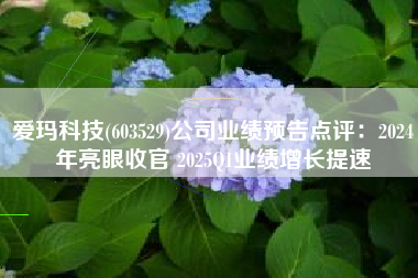 爱玛科技(603529)公司业绩预告点评：2024年亮眼收官 2025Q1业绩增长提速