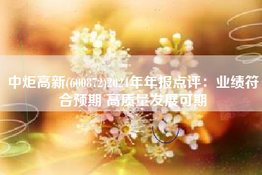 中炬高新(600872)2024年年报点评：业绩符合预期 高质量发展可期