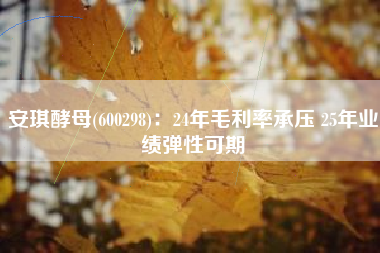 安琪酵母(600298)：24年毛利率承压 25年业绩弹性可期