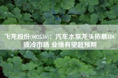飞龙股份(002536)：汽车水泵龙头拓展IDC液冷市场 业绩有望超预期