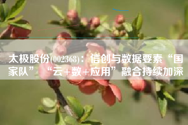 太极股份(002368)：信创与数据要素“国家队” “云+数+应用”融合持续加深