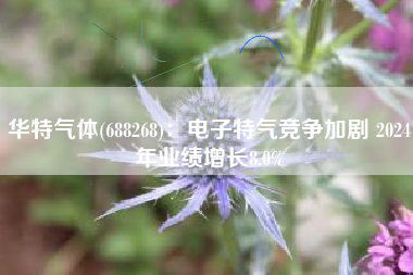 华特气体(688268)：电子特气竞争加剧 2024年业绩增长8.0%