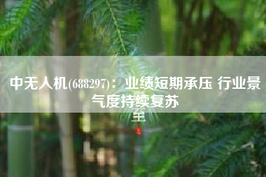 中无人机(688297)：业绩短期承压 行业景气度持续复苏