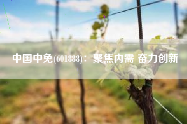 中国中免(601888)：聚焦内需 奋力创新