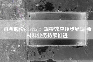 甬金股份(603995)：规模效应逐步显现 新材料业务持续推进