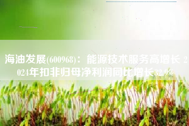 海油发展(600968)：能源技术服务高增长 2024年扣非归母净利润同比增长32.9%