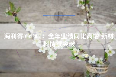 海利得(002206)：全年业绩同比高增 新材料持续突破