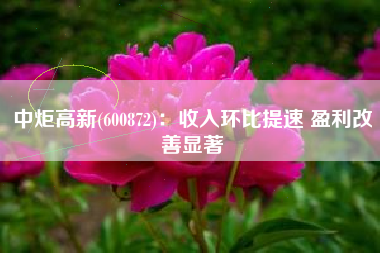 中炬高新(600872)：收入环比提速 盈利改善显著