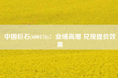 中国巨石(600176)：业绩高增 兑现提价效果