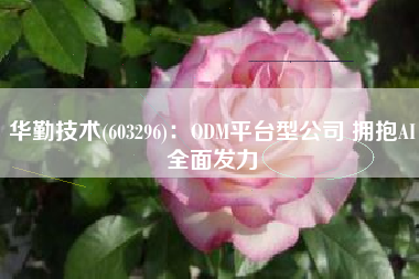 华勤技术(603296)：ODM平台型公司 拥抱AI全面发力