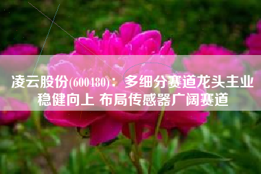 凌云股份(600480)：多细分赛道龙头主业稳健向上 布局传感器广阔赛道