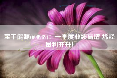 宝丰能源(600989)：一季度业绩高增 烯烃量利齐升！