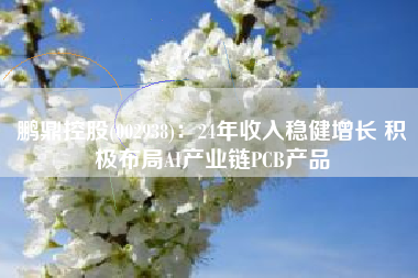 鹏鼎控股(002938)：24年收入稳健增长 积极布局AI产业链PCB产品