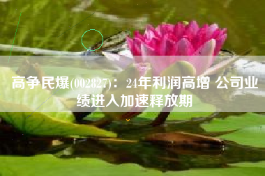 高争民爆(002827)：24年利润高增 公司业绩进入加速释放期
