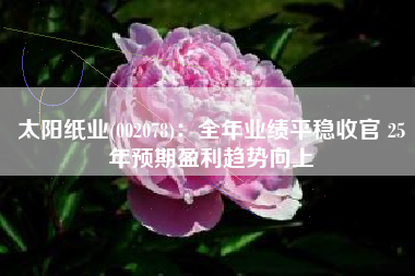 太阳纸业(002078)：全年业绩平稳收官 25年预期盈利趋势向上