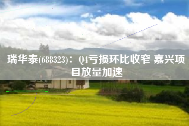 瑞华泰(688323)：Q4亏损环比收窄 嘉兴项目放量加速