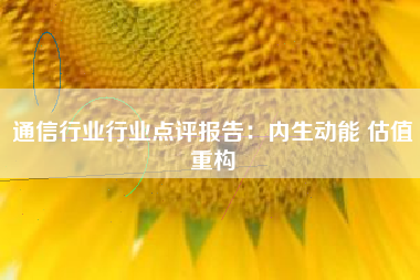 通信行业行业点评报告：内生动能 估值重构