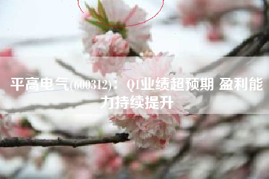 平高电气(600312)：Q1业绩超预期 盈利能力持续提升