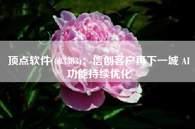 顶点软件(603383)：信创客户再下一城 AI功能持续优化
