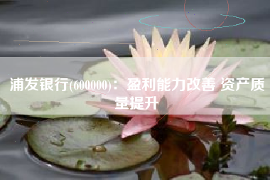浦发银行(600000)：盈利能力改善 资产质量提升