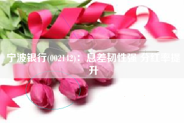 宁波银行(002142)：息差韧性强 分红率提升