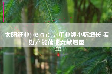 太阳纸业(002078)：24年业绩小幅增长 看好产能落地贡献增量