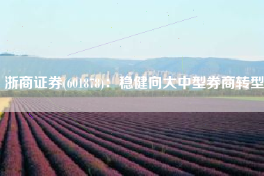 浙商证券(601878)：稳健向大中型券商转型