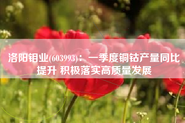 洛阳钼业(603993)：一季度铜钴产量同比提升 积极落实高质量发展