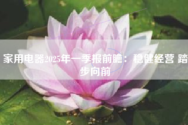 家用电器2025年一季报前瞻：稳健经营 踏步向前