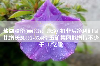 盐湖股份(000792)：2025Q1扣非后净利润同比增长28.83%-35.68% 五矿集团拟增持不少于2.12亿股